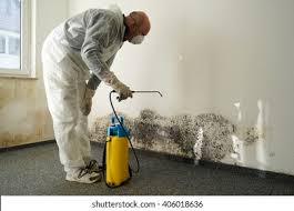 Why You Should Choose Our Mold Remediation Services in Valley Falls, SC